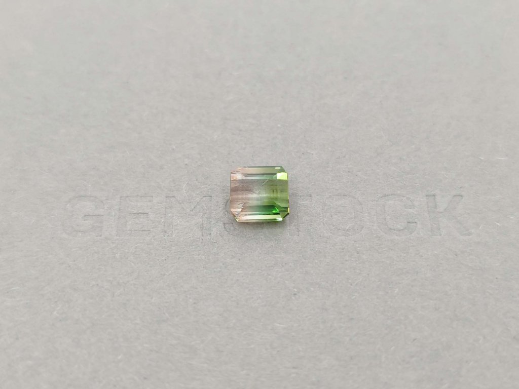 Watermelon tourmaline octagon cut 2.19 ct Image №1
