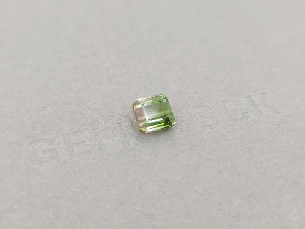 Watermelon tourmaline octagon cut 2.19 ct Image №2