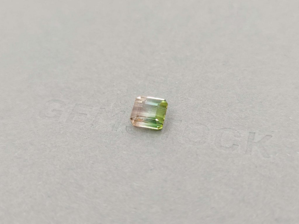 Watermelon tourmaline octagon cut 2.19 ct Image №3