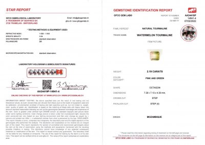 Certificate Watermelon tourmaline octagon cut 2.19 ct