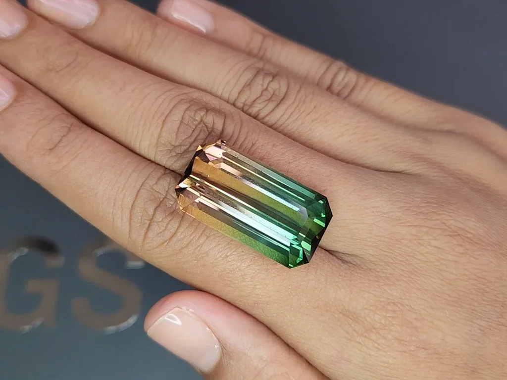 Watermelon (bi-color) octagon cut tourmaline 40.58 carats Image №2