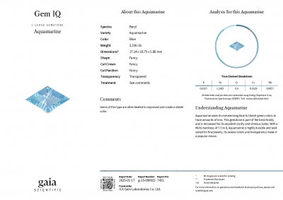Certificate Aquamarine in fancy cut 3.36 carats, Madagascar