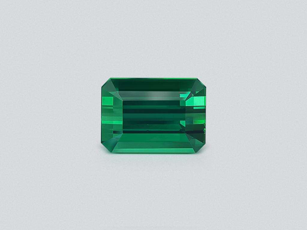 Green tourmaline octagon cut 8.15 carats, Africa Image №1