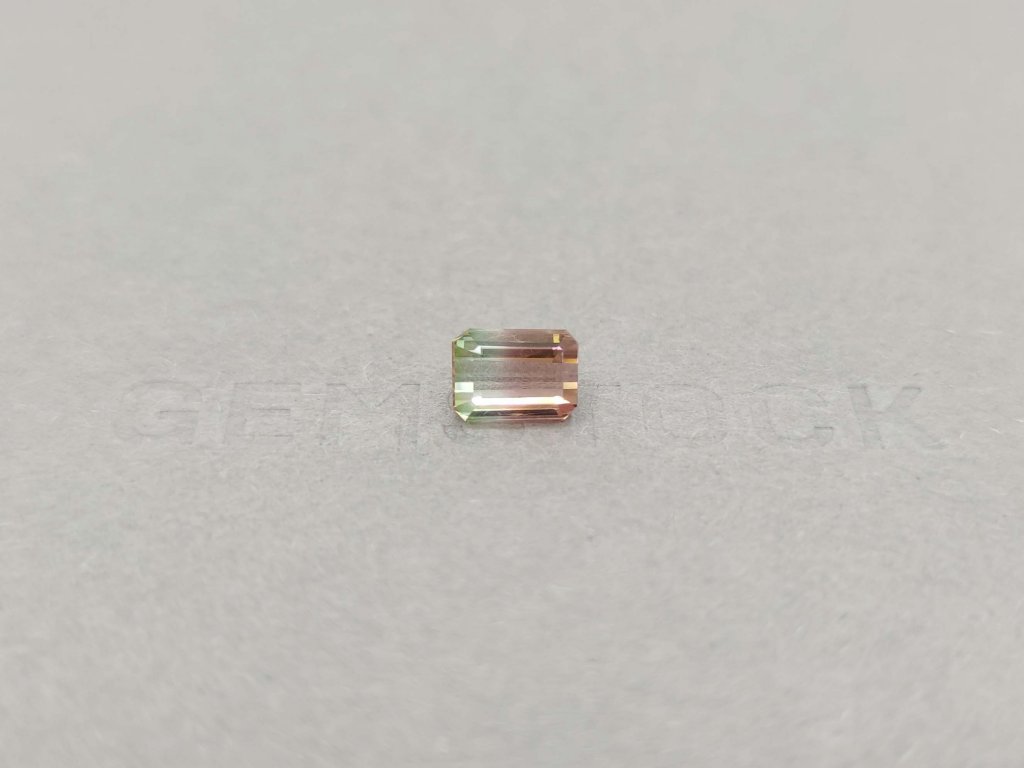 Octagon polychrome tourmaline 1.72 ct, Mozambique Image №1
