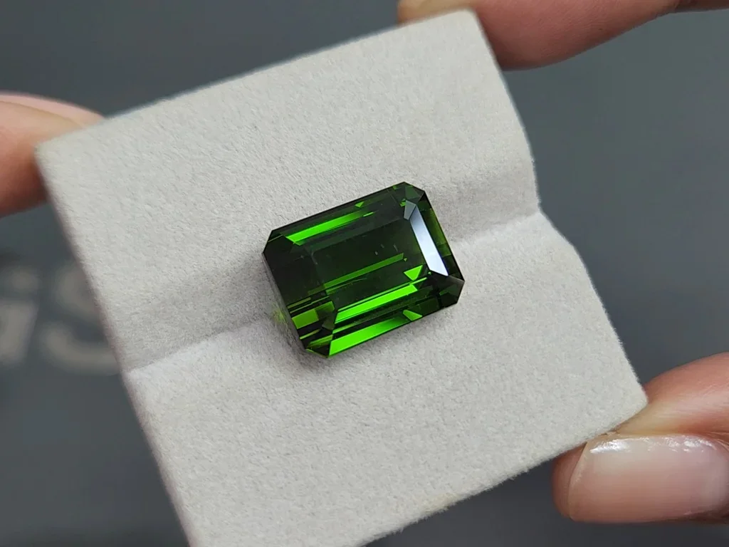 Tourmaline verdelite octagon cut 14.01 carats, Africa Image №4