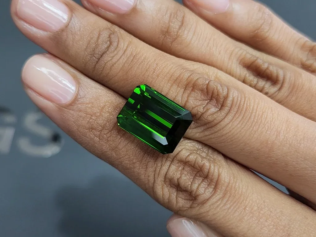 Tourmaline verdelite octagon cut 14.01 carats, Africa Image №2