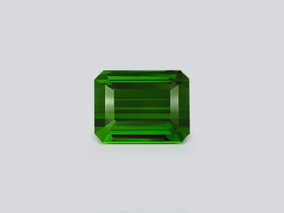 Tourmaline verdelite octagon cut 14.01 carats, Africa photo