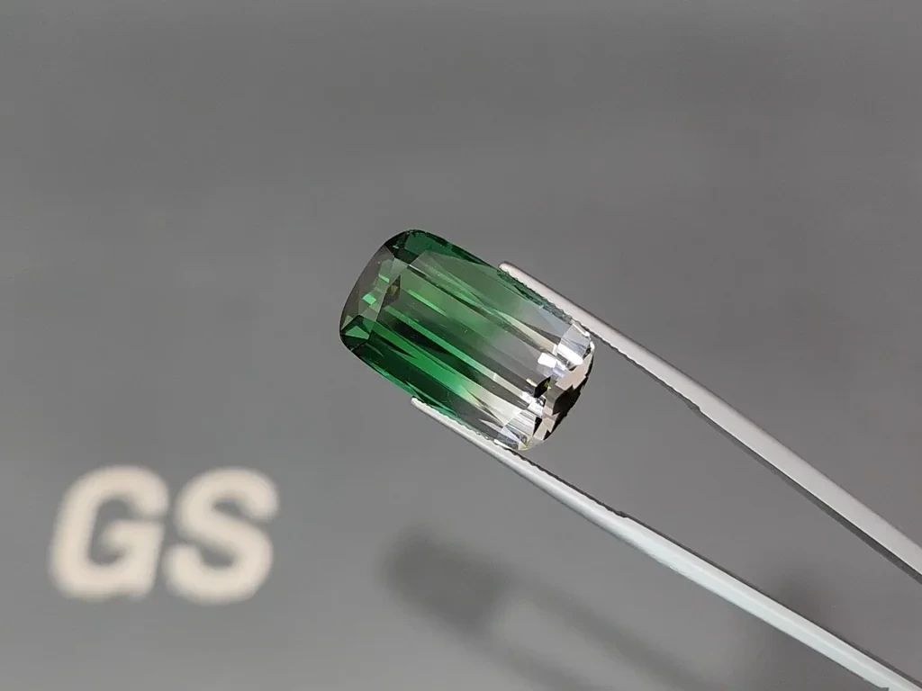 Large tourmaline Bi-color cushion cut 24,480 carats, Afghanistan  Image №3