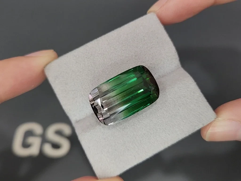 Large tourmaline Bi-color cushion cut 24,480 carats, Afghanistan  Image №4
