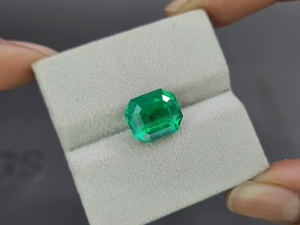 Vivid Green emerald with rare Butterfly-wing effect Mariposa in octagon cut 5.67 carats, Colombia Image №4
