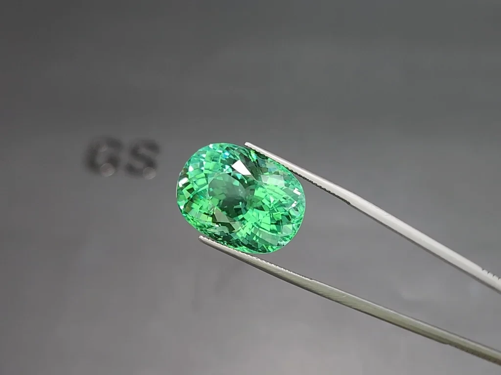 Large green Paraiba tourmaline oval cut 32.62 carats, Mozambique Image №3