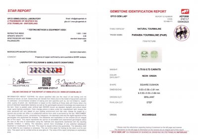 Certificate Pair of Paraiba tourmalines cushion cut 1.48 ct, Mozambique