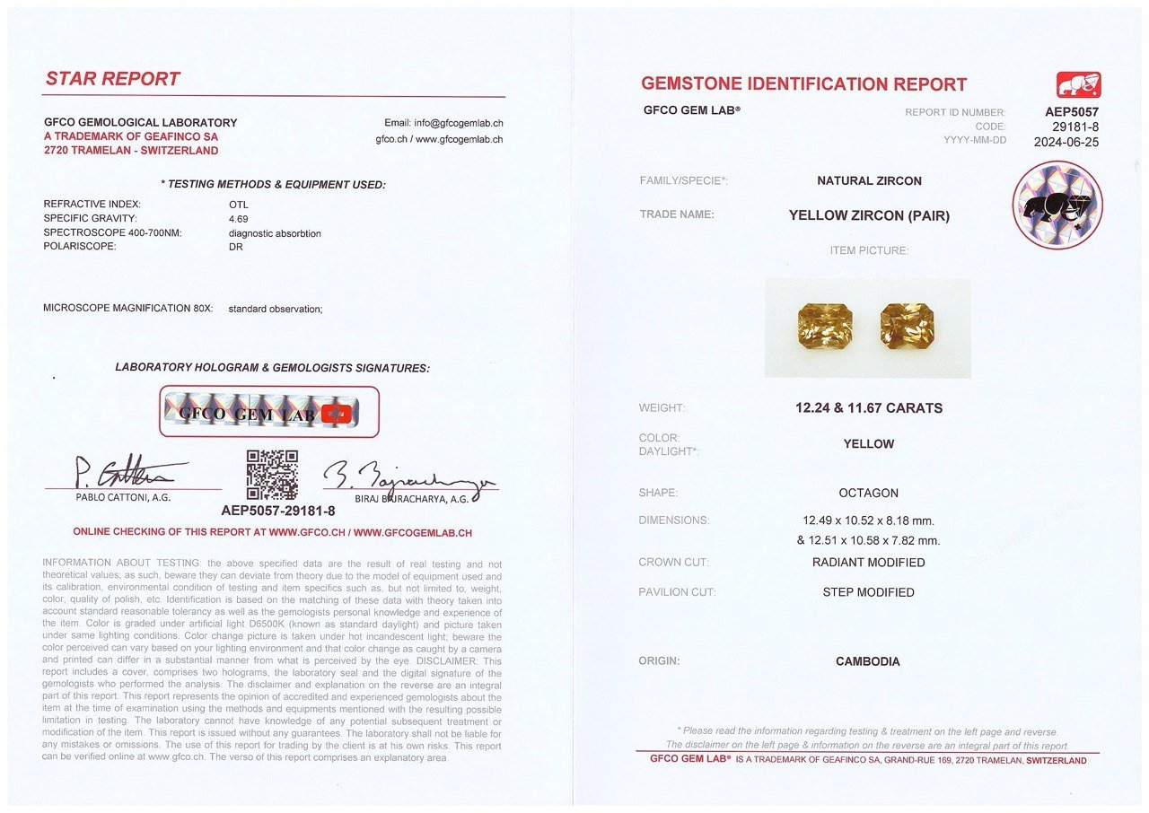 Pair of natural golden color zircons in octagon cut 23.87 carats, Combodia Image №5