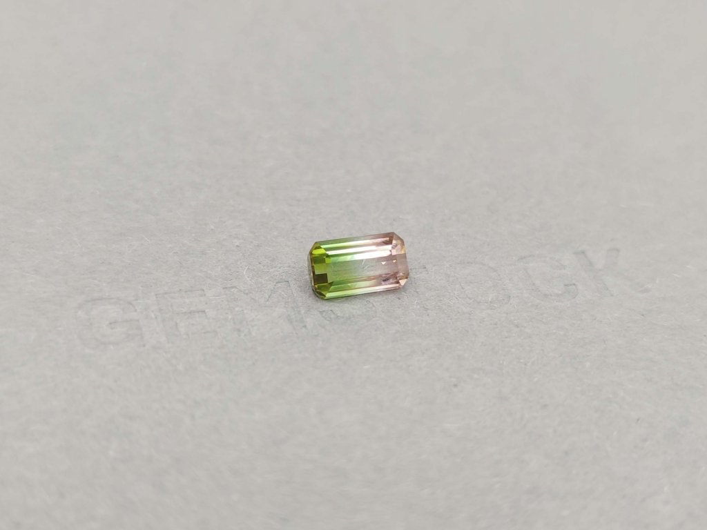 Watermelon tourmaline emerald cut 1.65 ct, Mozambique Image №2