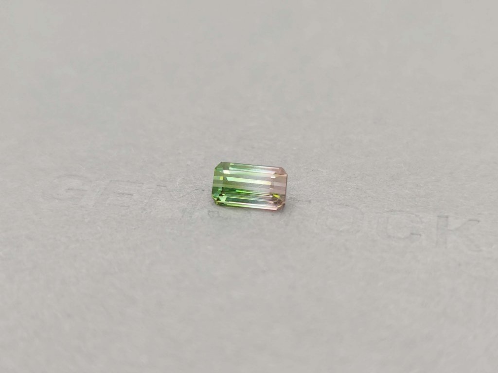 Watermelon tourmaline emerald cut 1.65 ct, Mozambique Image №3