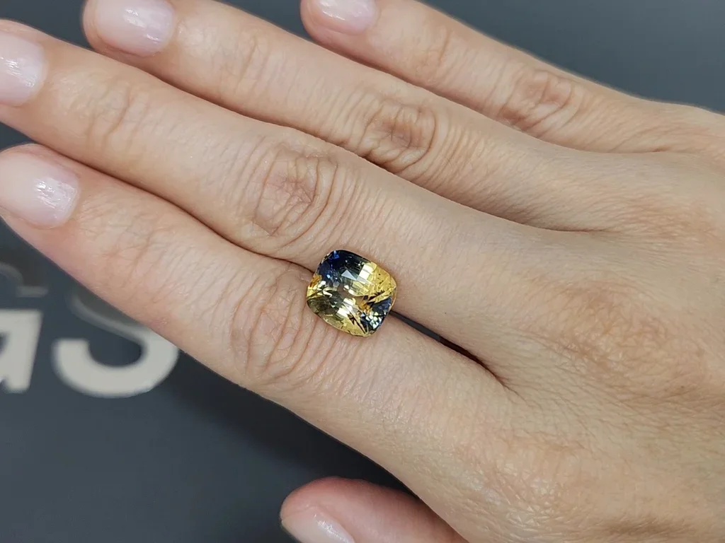 Unheated bi-color yellow-blue cushion cut sapphire 6.62 carats, Sri Lanka Image №2