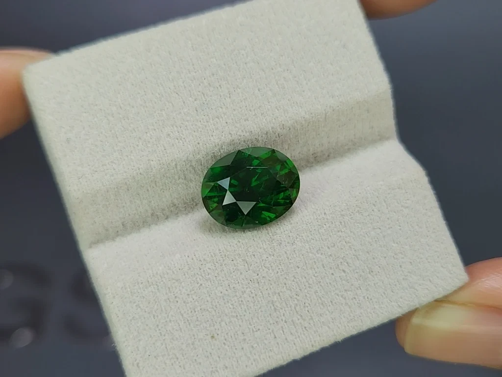 Vivid Green tsavorite garnet in oval cut 5.52 carats, Africa Image №4