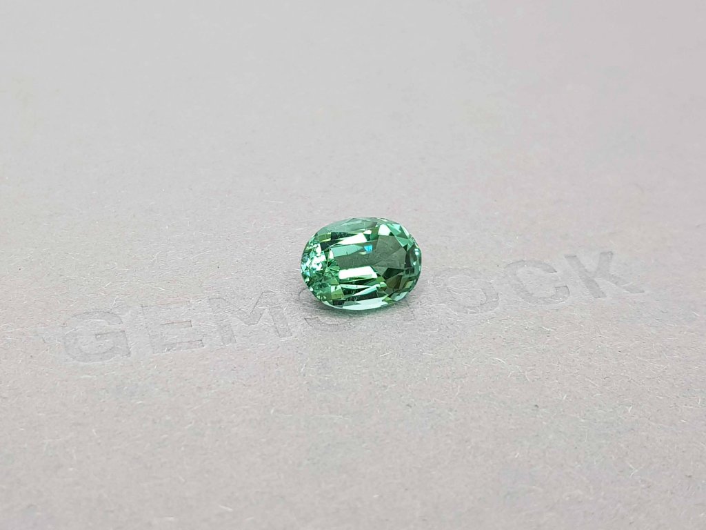 Lagoon tourmaline oval cut 3.31 ct, Afghanistan Image №2