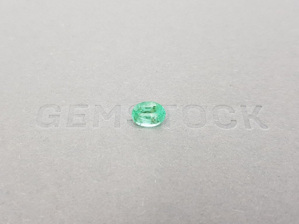 Blueish green Paraiba oval cut 1.02 ct, Mozambique Image №1