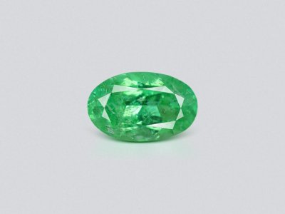 Neon green oval cut Paraiba tourmaline 5.41 carats, Mozambique photo