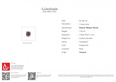 Certificate Rhodolite garnet cushion cut 1.53 carats, Tanzania