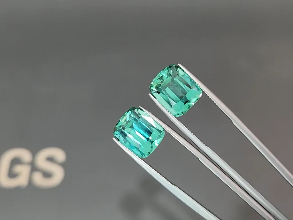 Pair of tourmalines Lagoon cushion cut 17.67 carats, Afghanistan Image №3
