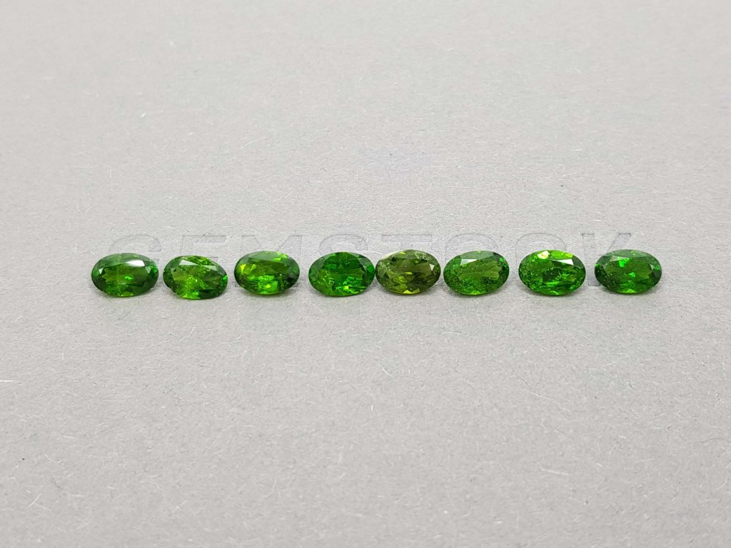 Lot of eight chrome diopside 3.66 ct Image №1
