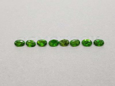 Lot of eight chrome diopside 3.66 ct photo