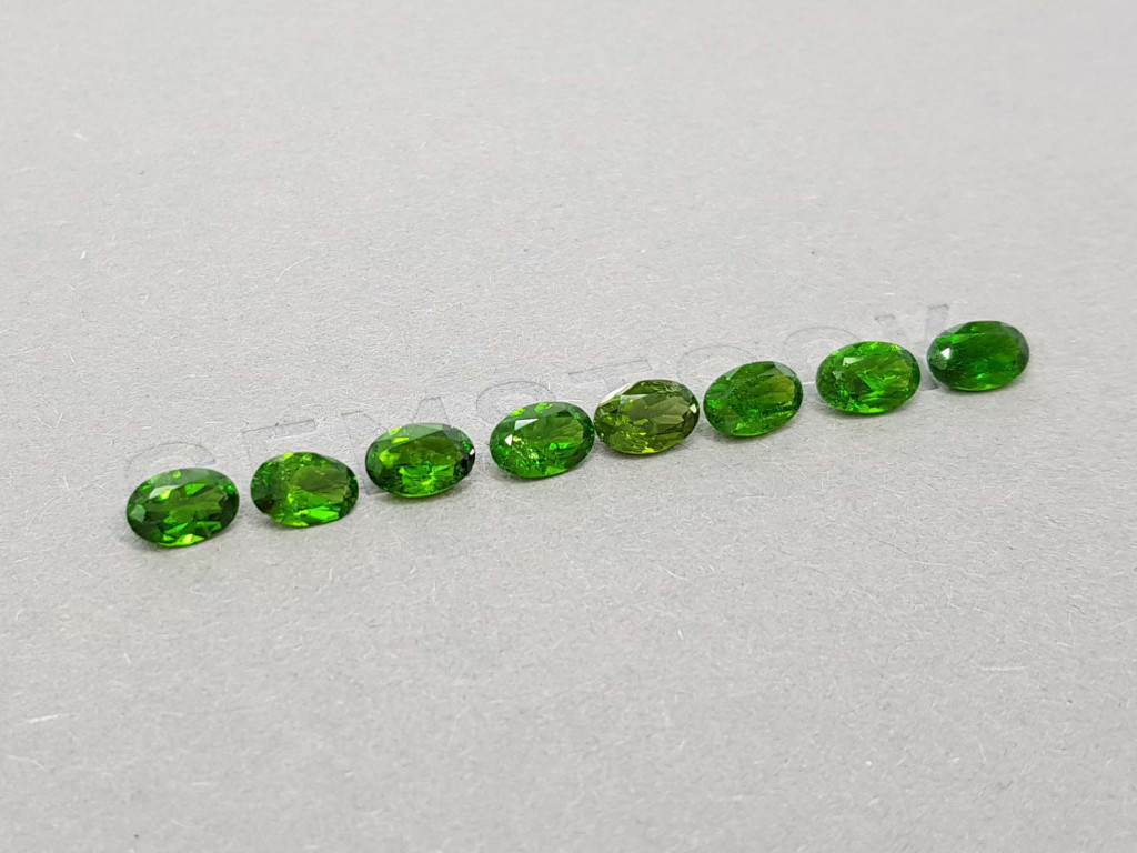 Lot of eight chrome diopside 3.66 ct Image №2