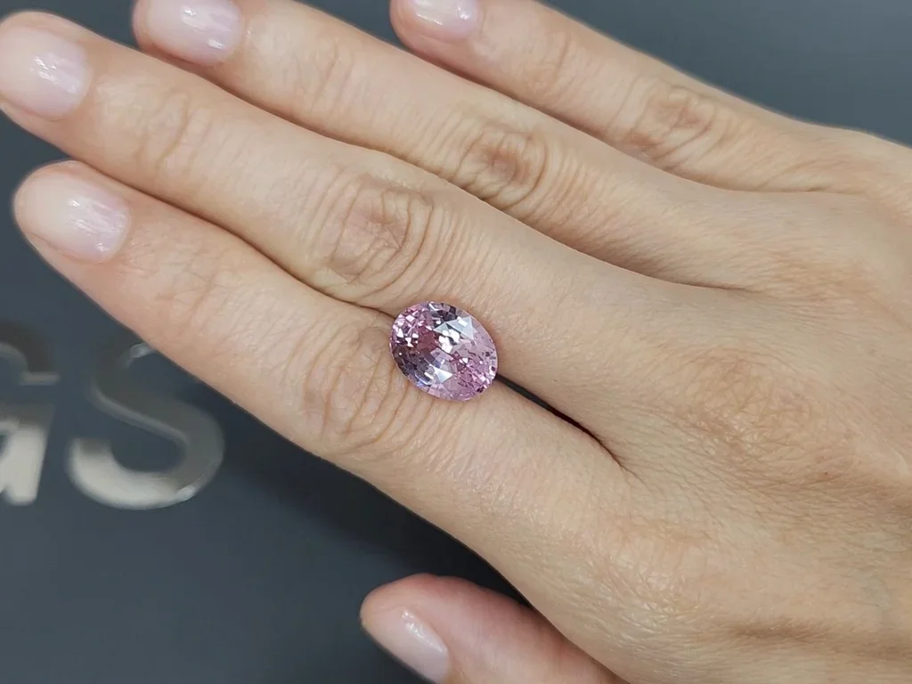 Unheated pastel pink Padparadscha sapphire in oval cut 7.01 carats, Sri Lanka  Image №2