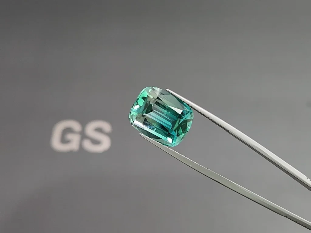 Tourmaline Bi-color cushion cut 14.23 carats, Afghanistan  Image №3