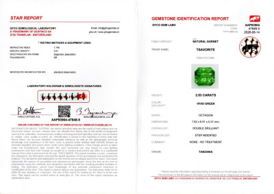 Certificate Tsavorite garnet Vivid green radiant cut 2.53 carats, Tanzania