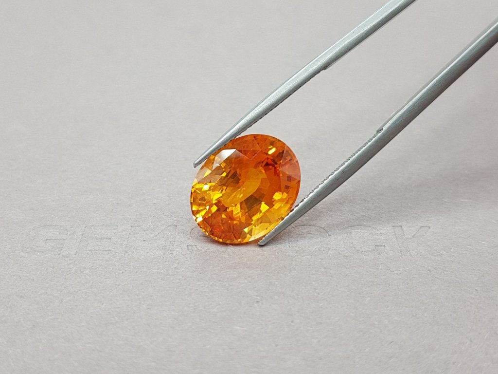 Bright Orange Fanta Sapphire 11.04 ct Image №4