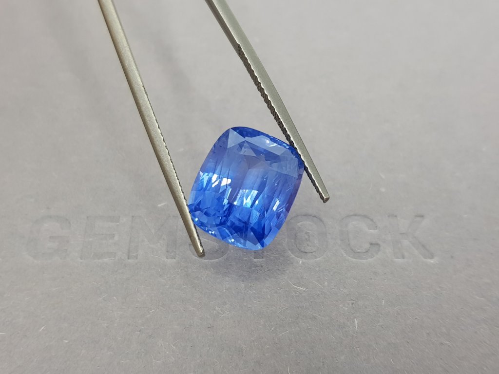 Large unheated cushion cut sapphire 10.50 ct, Sri Lanka, GRS Image №4
