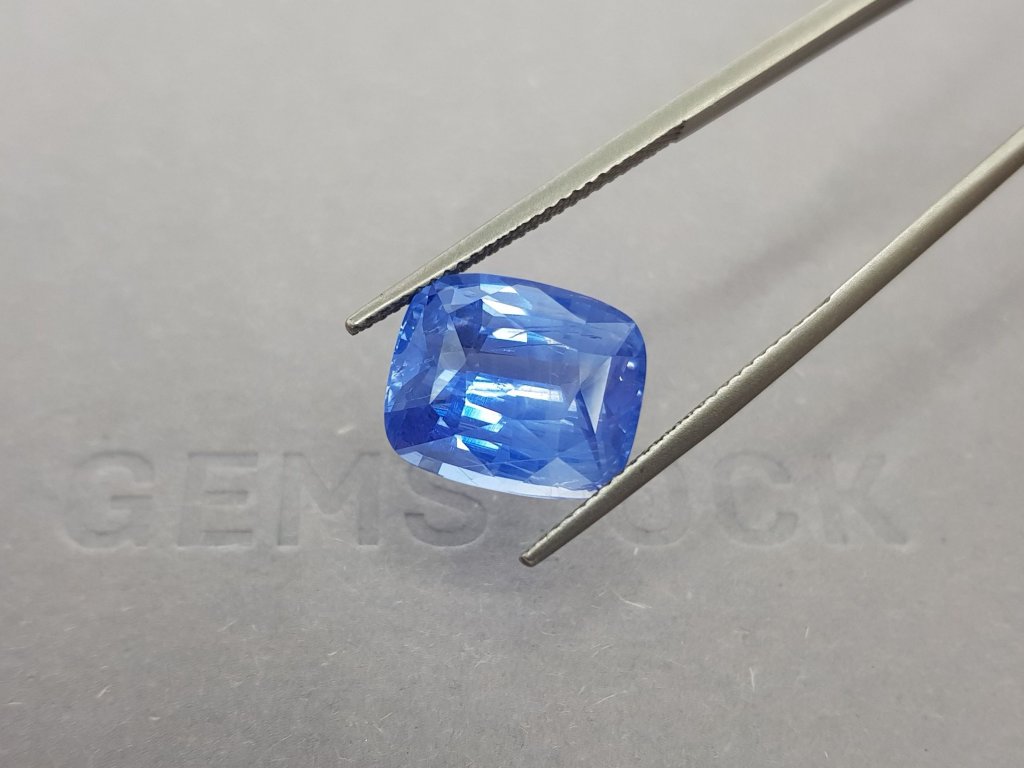 Large unheated cushion cut sapphire 10.50 ct, Sri Lanka, GRS Image №5
