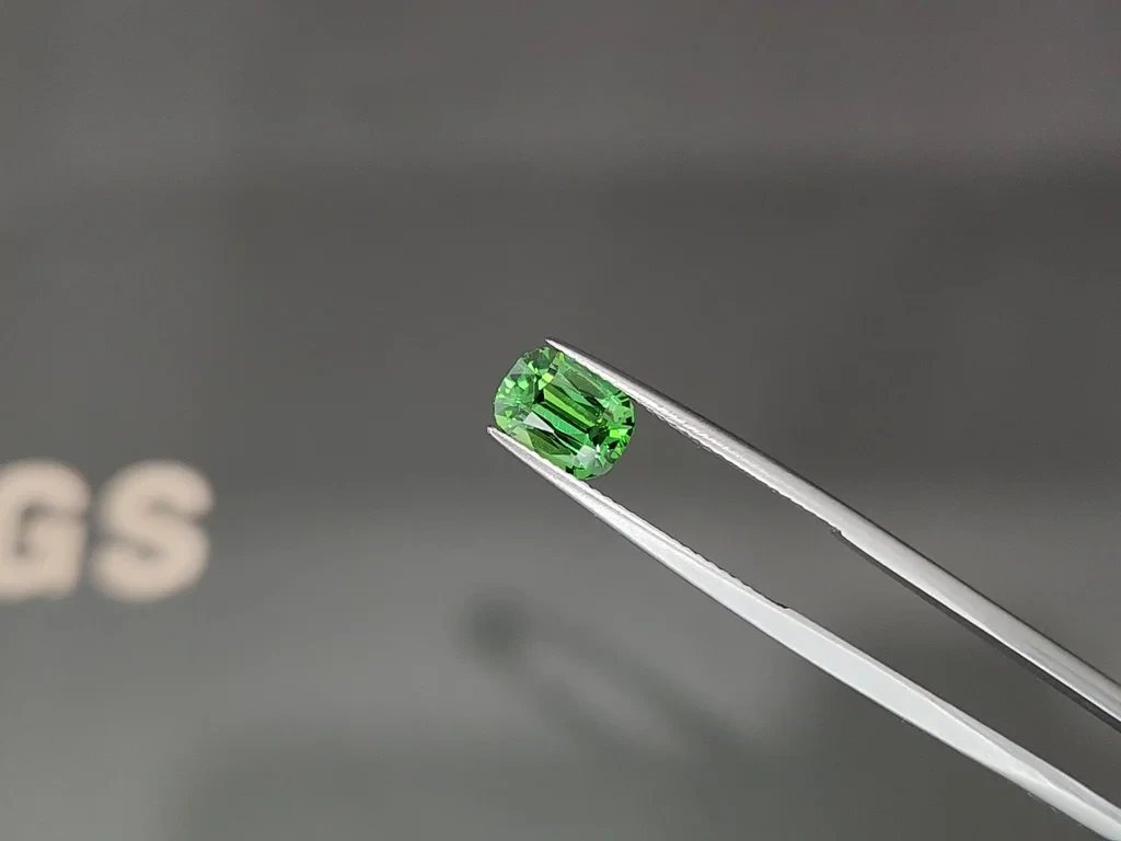 Garnet tsavarite garnet cushion cut 2.03 carats, Africa Image №3