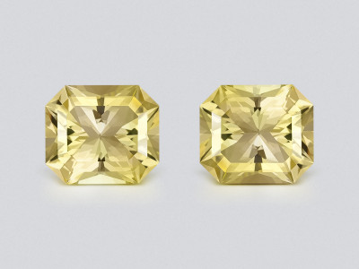 Pair of citrines radiant high precision cut 18.65 carats, Africa photo