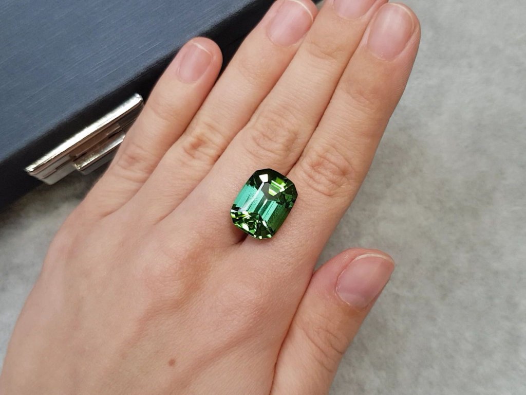 Bright green tourmaline with a blue tint of 12.51 ct Image №2