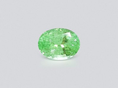 Paraiba tourmaline, neon green, oval cut, 2.27 ct, Mozambique photo