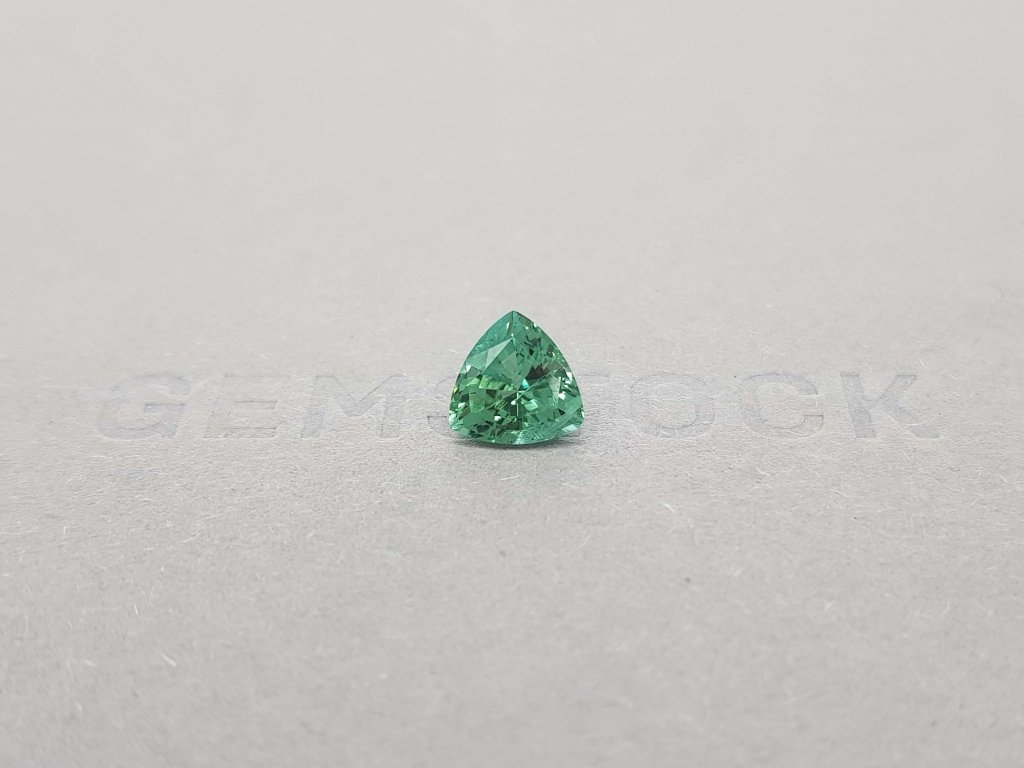 1.74 trillion verdelite tourmaline cut Image №1