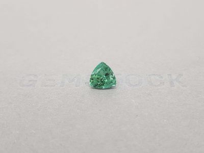 1.74 trillion verdelite tourmaline cut photo