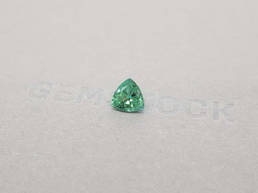 1.74 trillion verdelite tourmaline cut Image №3