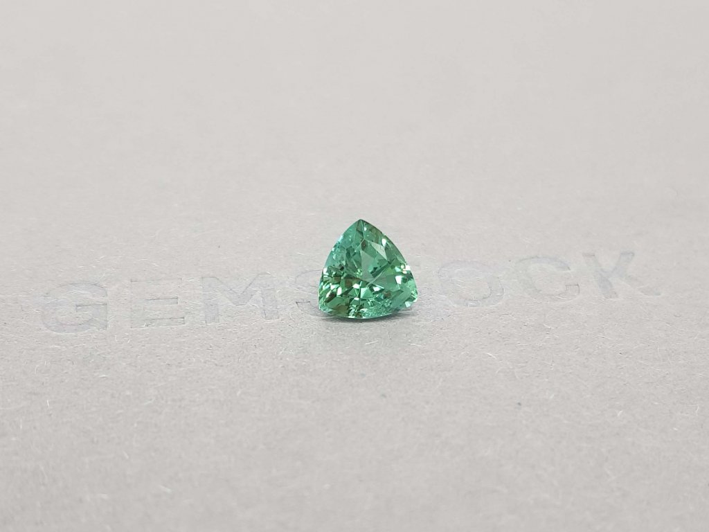 1.74 trillion verdelite tourmaline cut Image №2