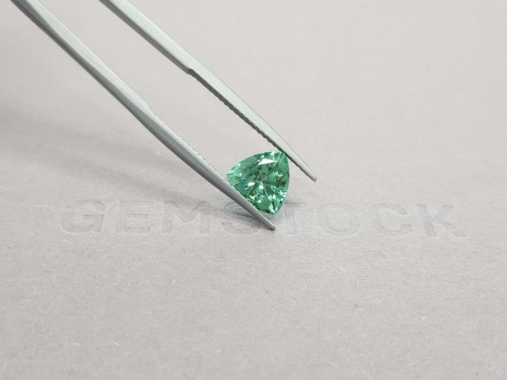 1.74 trillion verdelite tourmaline cut Image №4