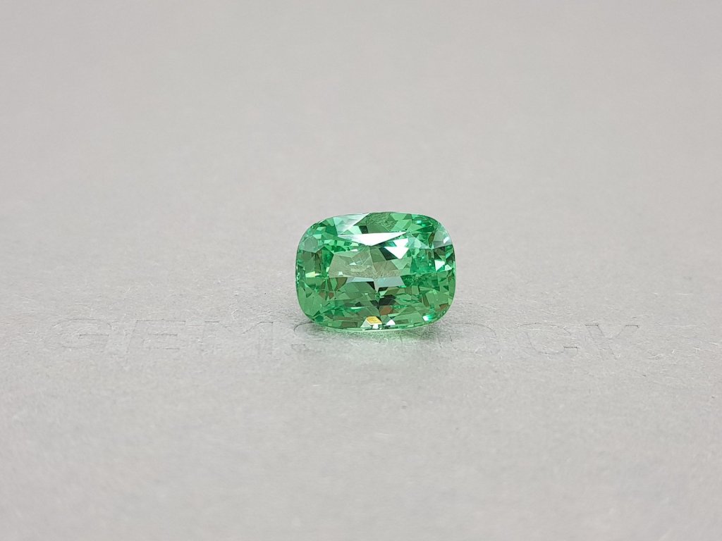 Unique Cushion Cut Neon Grossular 10.05 ct Image №1