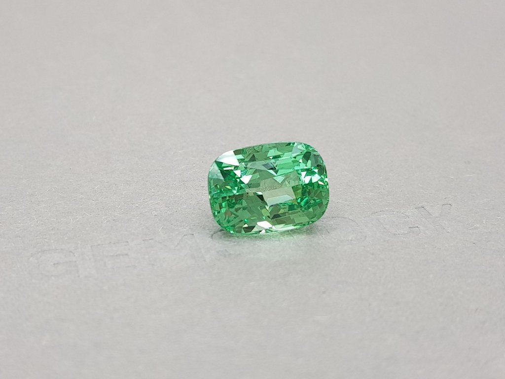 Unique Cushion Cut Neon Grossular 10.05 ct Image №2