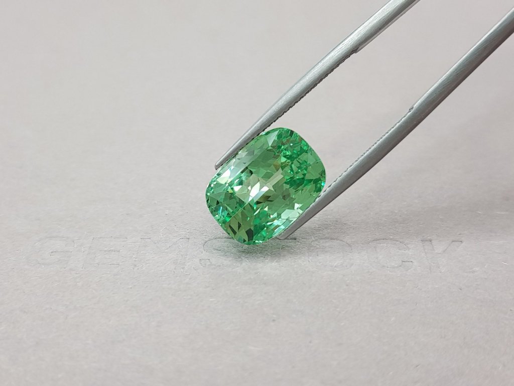 Unique Cushion Cut Neon Grossular 10.05 ct Image №4