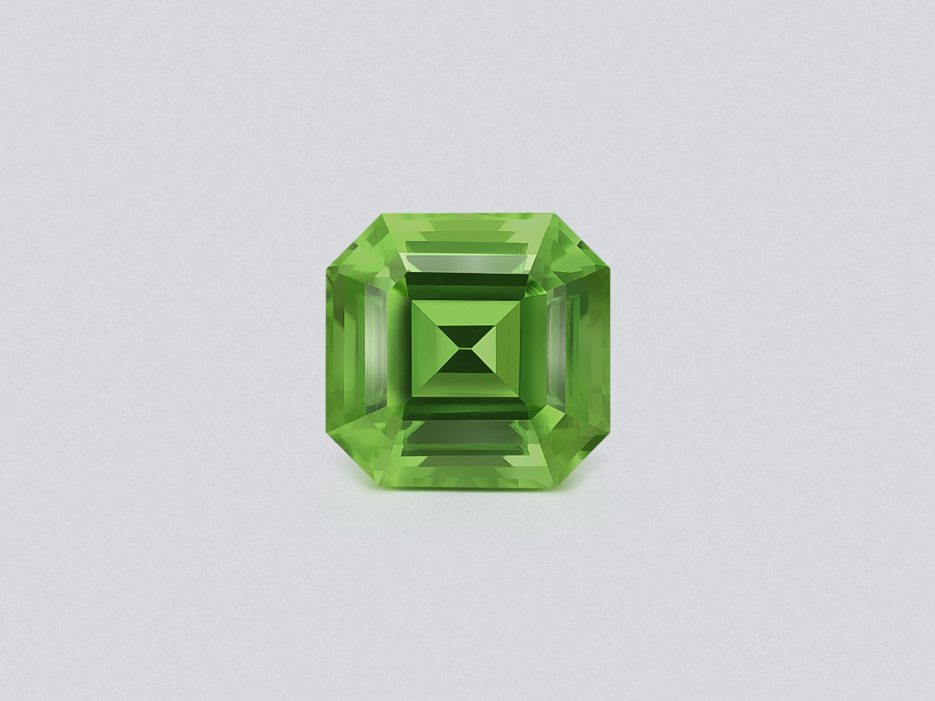 Large green peridot octagon cut 11.21 carats, Pakistan Image №1