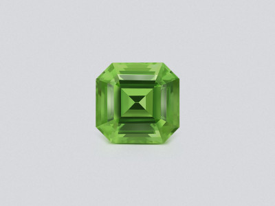 Large green peridot octagon cut 11.21 carats, Pakistan photo