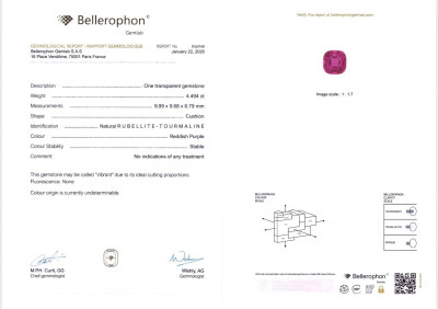 Certificate Pendant with 4.49 carat rubellite and diamonds in 18K white gold